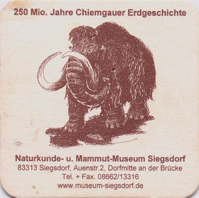siegsdorf ts-by mammut 2a (quad185-250 mio jahre-mit fax-braun)